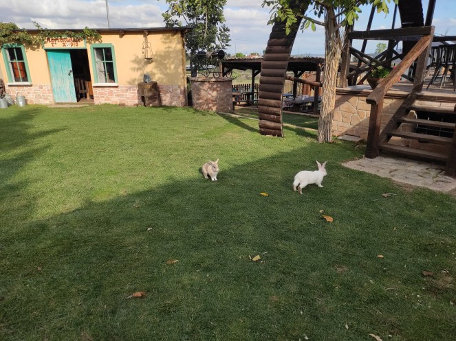 «Έξοδος με τα&nbsp;παιδιά»