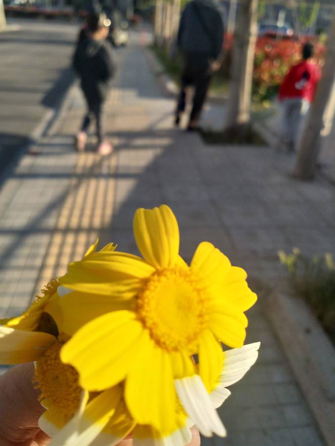 Πρωτομαγιά και ένα #giveaway που δεν&nbsp;έγινε!