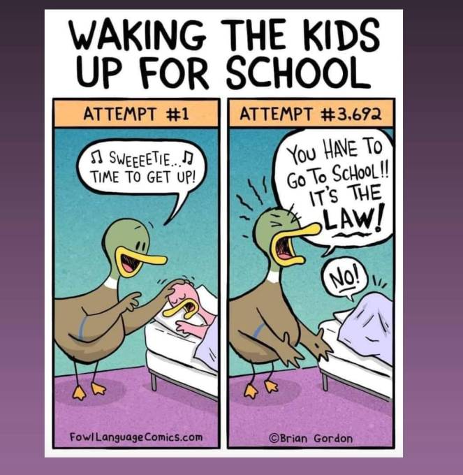 Back to school, back to&nbsp;reality!