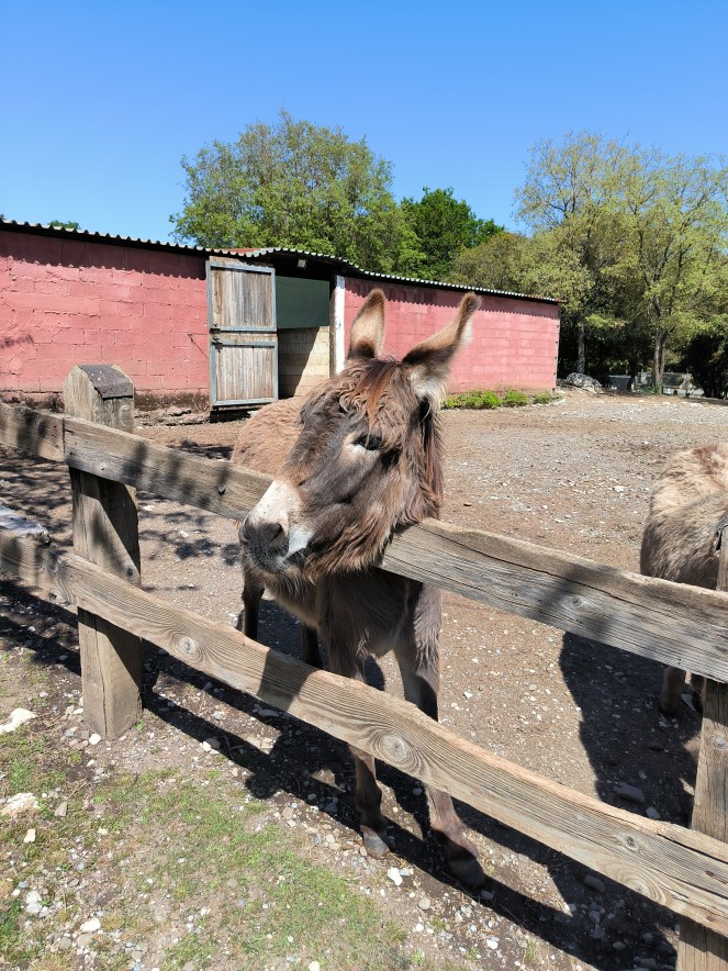 «Αγρόκτημα Παπάκια» – Μια μικρή&nbsp;όαση
