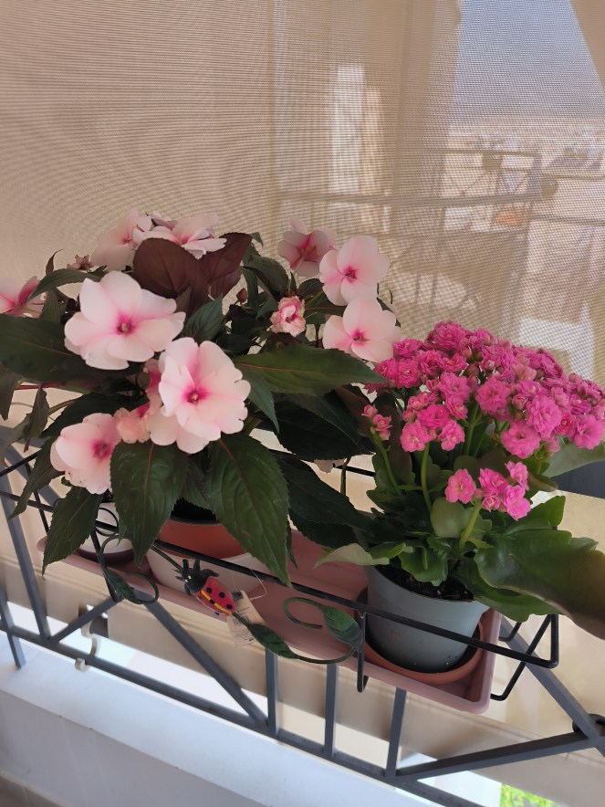 Αποστολή: Επιβίωση μέχρι τον&nbsp;Ιούλιο